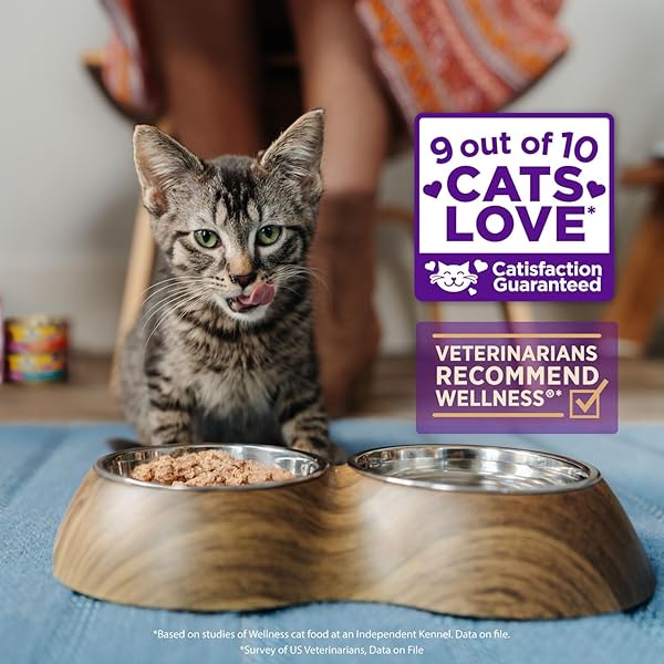 WELLNESS CORE SIGNATURE SELECTS SHREDDED ADULT CANNED WET CAT FOOD, NATURAL, PROTEIN RICH, GRAIN FREE, CHICKEN AND BEEF ENTRÉE RECIPE, 2.8 OZ, PACK OF 12 CANS