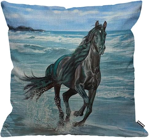 Get Plage oreillers canape Free HD