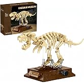 DRZYJ Tyrannosaurus Rex Dinosaur Fossil Building Set, 289Pcs Movable T-Rex Skeleton Model Kit with Museum Display Stand, Educational Dinosaur Toy for Kids 8 for Dinosaur Lovers &amp; Collectors