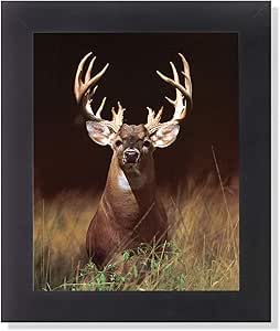 Trophy Buck Deer In Field Large Antler Rack Photo Wall Picture Framed Art Print Posters Prints Amazon Com