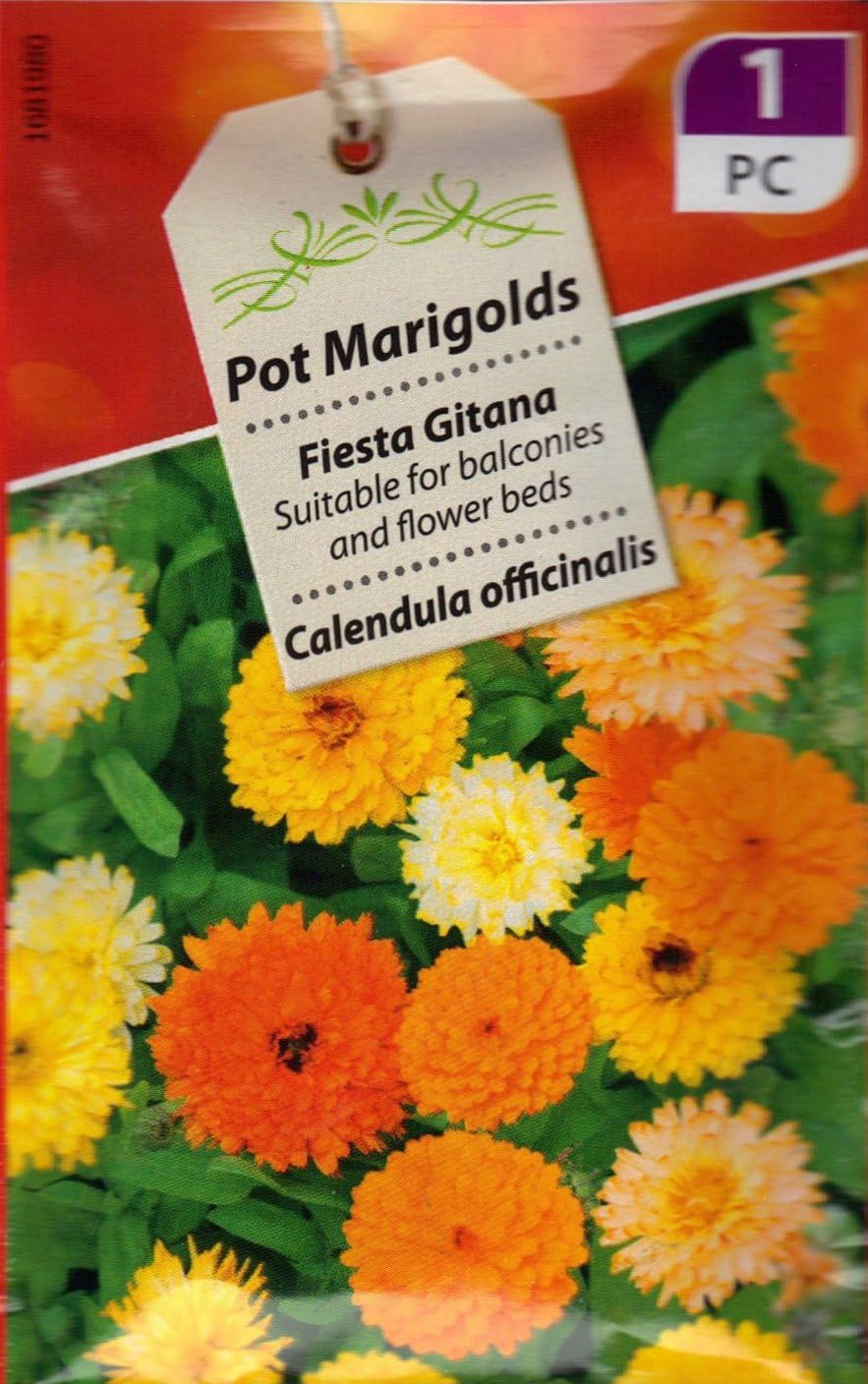 2 Packs. Pot Marigold or Calendula Fiesta Gitana 40 Flower Seeds/Ideal for Colourful beds & Balcony Boxes 12/2022