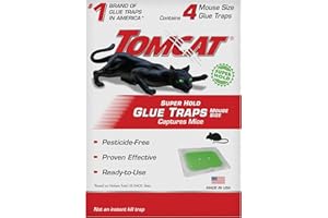 Tomcat Super Hold Glue Traps Mouse Size for Mice, Cockroaches, Spiders, and Scorpions, Ready-To-Use, 4 Traps