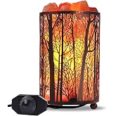 Shineled Himalayan Salt Lamp, Salt Rock Lamp Natural Night Light in Forest Design Metal Basket with Dimmer Switch (4.1 x 6.5 4.4-5lbs), 25Watt Bulbs &amp; ETL Cord 1 Pack