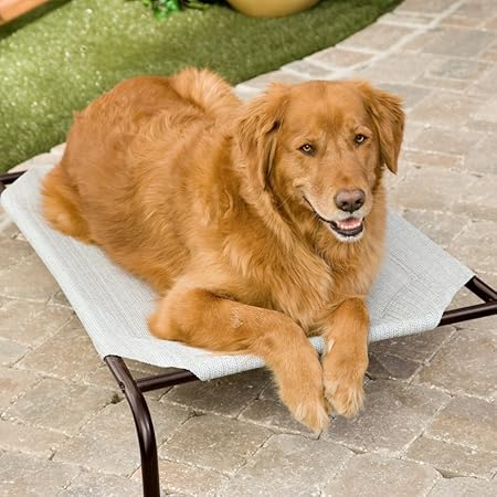 amazon coolaroo dog bed