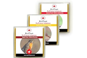 Wild Bird Suet Cakes, High-Energy Food for Backyard Birds (3 Pack, Mixed)