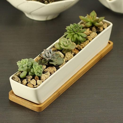 1X Long White Ceramic Succulent Planter Miniature Flower Pots + Display