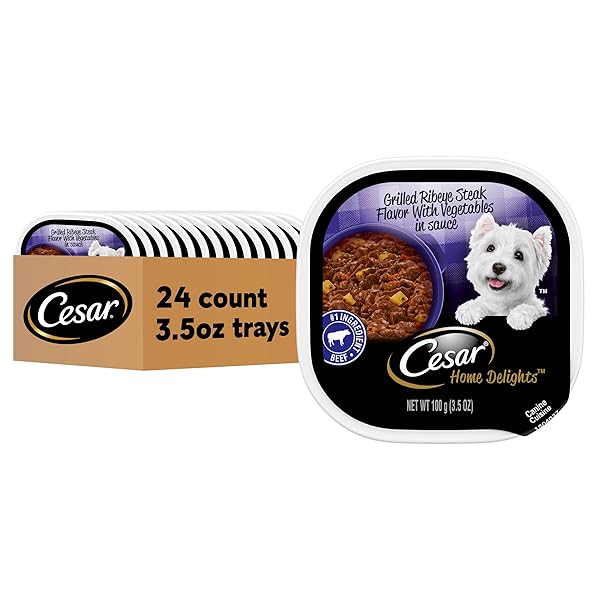 CESAR HOME DELIGHTS ADULT WET DOG FOOD GRILLED RIBEYE STEAK FLAVOR WITH VEGETABLES IN SAUCE, 3.5 OZ. EASY PEEL TRAYS (24 COUNT, PACK OF 1)