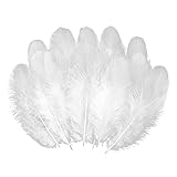White Craft Rooster Feathers 900pcs 3-5inch Colored