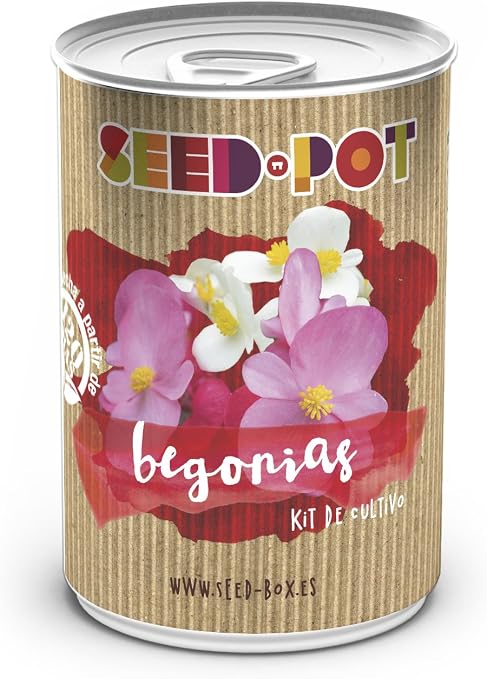 SeedBox PGPTFBE Lata de Cultivo begonias, 0.7x0.7x9 cm: Amazon.es ...