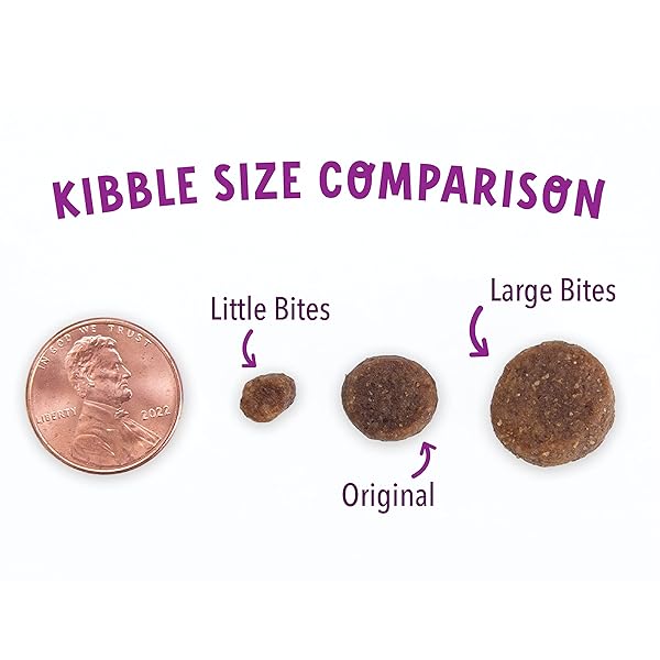 HEALTH EXTENSION GRAIN FREE BUFFALO & WHITEFISH LITTLE BITES (1 LB / 0.45 KG) – SMALL KIBBLE FORMULA WITH OMEGA 3 & WHOLE FOODS FOR TEACUPS, TOYS & MINIATURE DOGS