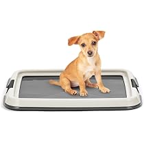 Amazon.com: IRIS USA Pee Pad Holder - Extra-Small Sized Dog and ...