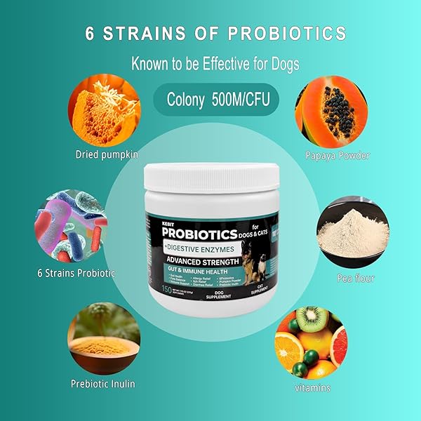 KEBIT PET PROBIOTIC CHEWABLE TABLETS, DOG PROBIOTICS FOR DIARRHOEA RELIEF, SCRATCHING, ALLERGIES AND GUT HEALTH SUPPORT, IMMUNE SUPPORT SUPPLEMENTS （CHICKEN FLAVOUR 150PCS）