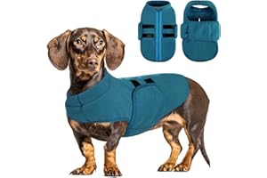 Queenmore Dog Sweaters - Soft Fleece Pullover Jacket, Warm Winter Dog Clothes, Dachshund & Cat Size, Boy or Girl (Peacock-Blue, S)
