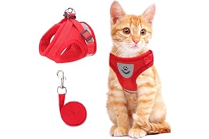 Cat and Small Dog Vest Harness for Walking - All Weather Mesh With Reflective Strap, Step in Adjustable for Small Cats (Red, 