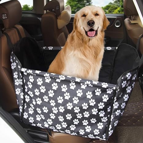 amazon siege auto chien