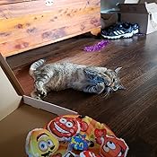 yeowww my cats balls