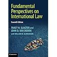 Fundamental Perspectives on International Law