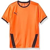 Puma Unisex-Youth Youth Teamgoal 23 Jersey