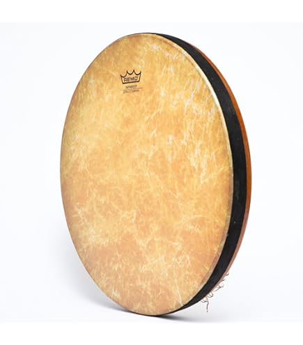 Amazon.com: Remo Fiberskyn 3 22