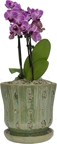 hstcstbl-table__image