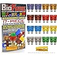 BioFuse Standard ATO 17 Piece Automotive Car Fuse Assortment Pack: Set of 17 ATO Regular Blade Fuses 3A 5A 7.5A 10A 15A 20A 25A 30A (Blade Group: ATO, ATC, ATS, APR) + Fuse Puller