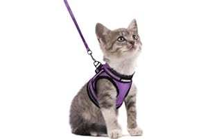 rabbitgoo Cat Harness and Leash Set for Walking Escape Proof, Adjustable Soft Kittens Vest with Reflective Strip for Cats, Comfortable Outdoor Vest, Purple, S