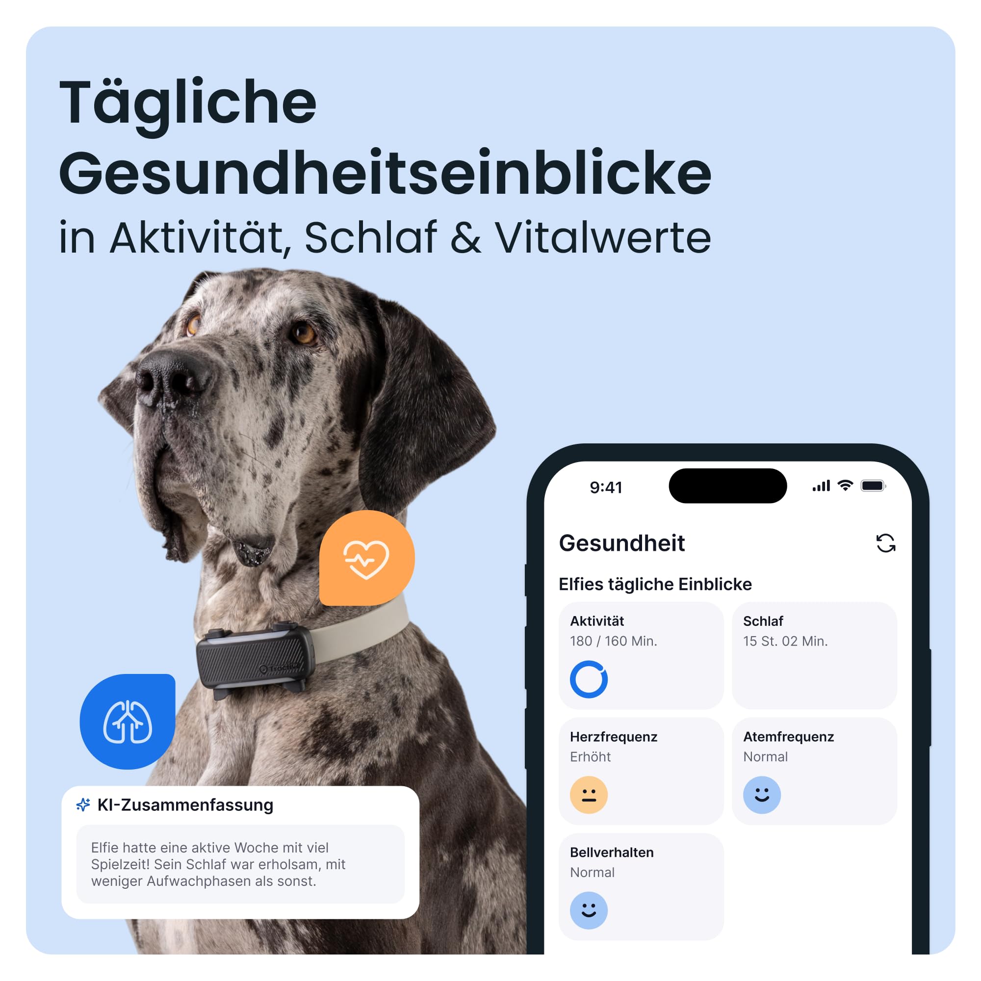 Tractive XL Smarter Hunde GPS Tracker | Modell 2026 | Live-GPS-Ortung | Weglaufalarm & Gesundheitswarnungen | Überwachung der Vitalwerte | Lange Akkulaufzeit | Empfohlen von Martin Rütter (Schwarz) 3
