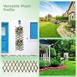Toyosport Expandable Wooden Trellis Panels 2 Pcs Wall Garden Indoor Outdoor view 8