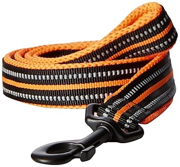 PetsUp Dog Leash for Small Medium Large Dogs (2.5cm Wide 200cm Long, Reflective Leash- Orange)