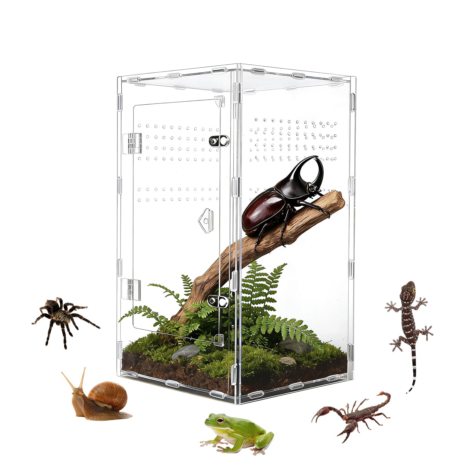 Photo 1 of Swirge Acrylic Jumping Spider Enclosure, Transparent Reptile Terrarium Enclosure, Small Reptiles Habitat Tank Breeding Box for Tarantula Insect Snake Lizard (13.78 Large)
