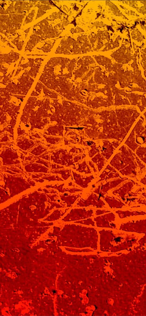PeelitStickit Coloured Grunge Textures Pattern, Wallpaper Design, Wall Mural ID-014, vinyl, Multi-colour
