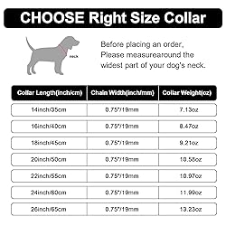 Gold Dog Collar Chain with Pendant Tag,Stainless