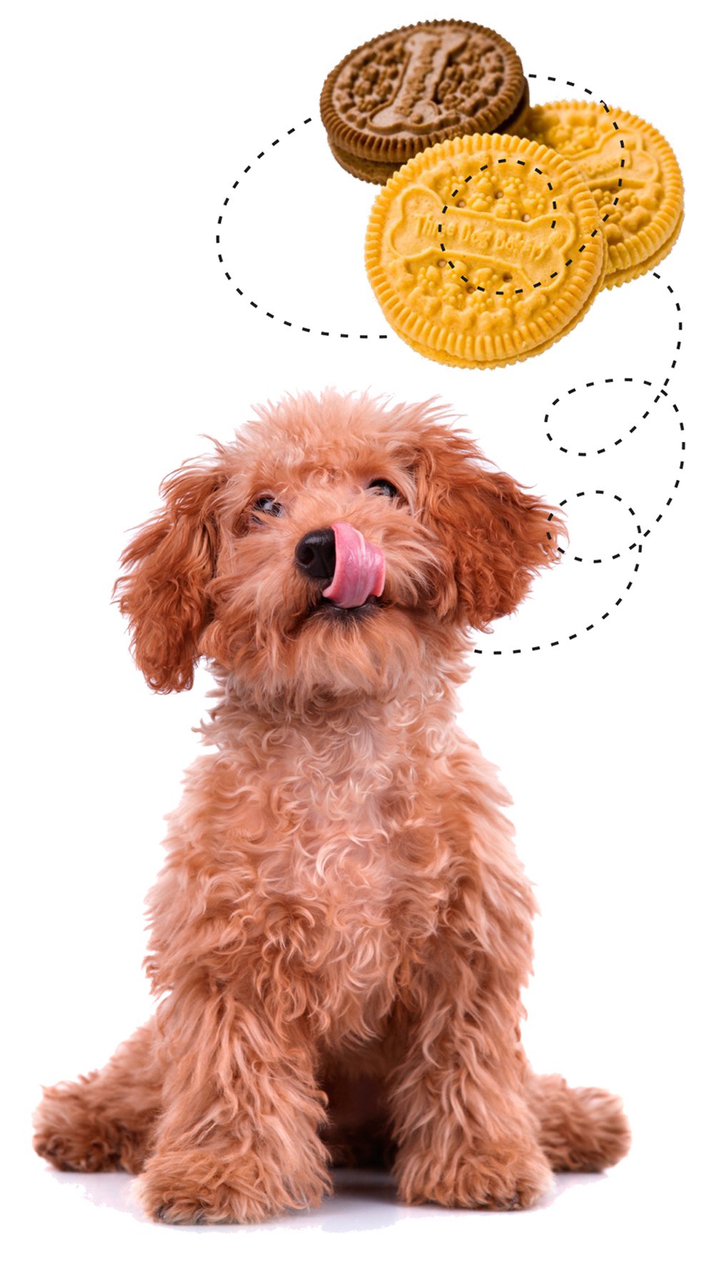 Three Dog Bakery Bitty Bites, Baked Dog Treats, Assorted Flavors, 13 ounces - Image 4