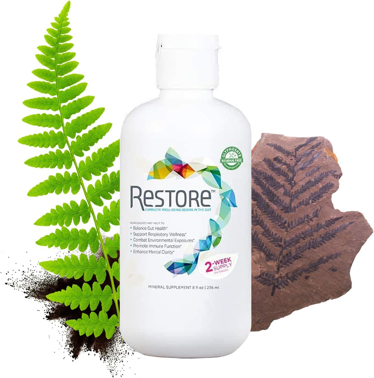 Restore For Gut Health Mineral Supplement 8 Ounce Amazon Ca Health Personal Care