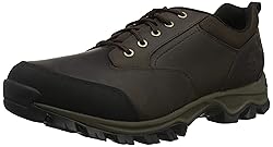 Timberland Men's Mt. Maddsen Waterproof Low Hiker