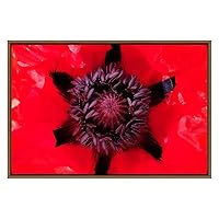 SIGNWIN Framed Canvas Wall Art Flame Red Poppy Flower Violet Center Botanical Succulent Photography Minimalism Modern Closeup Dramatic for Living Room, Bedroom, Office - 16