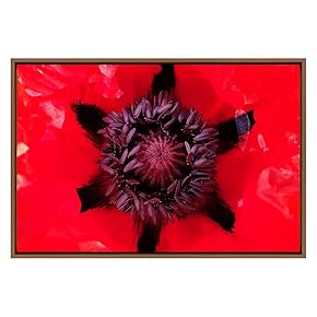 SIGNWIN Framed Canvas Wall Art Flame Red Poppy...