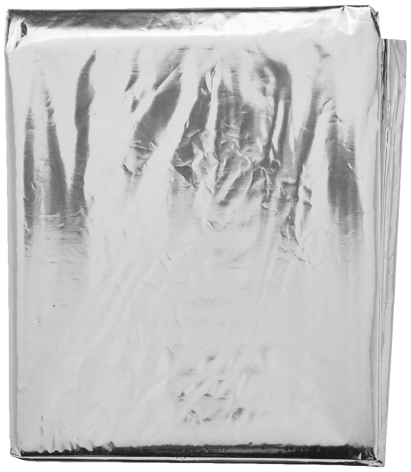 Maximex Insulating Protection Set of 2 for Optimum Room Climate Plastic (PET), 90 x 220 cm, Silver