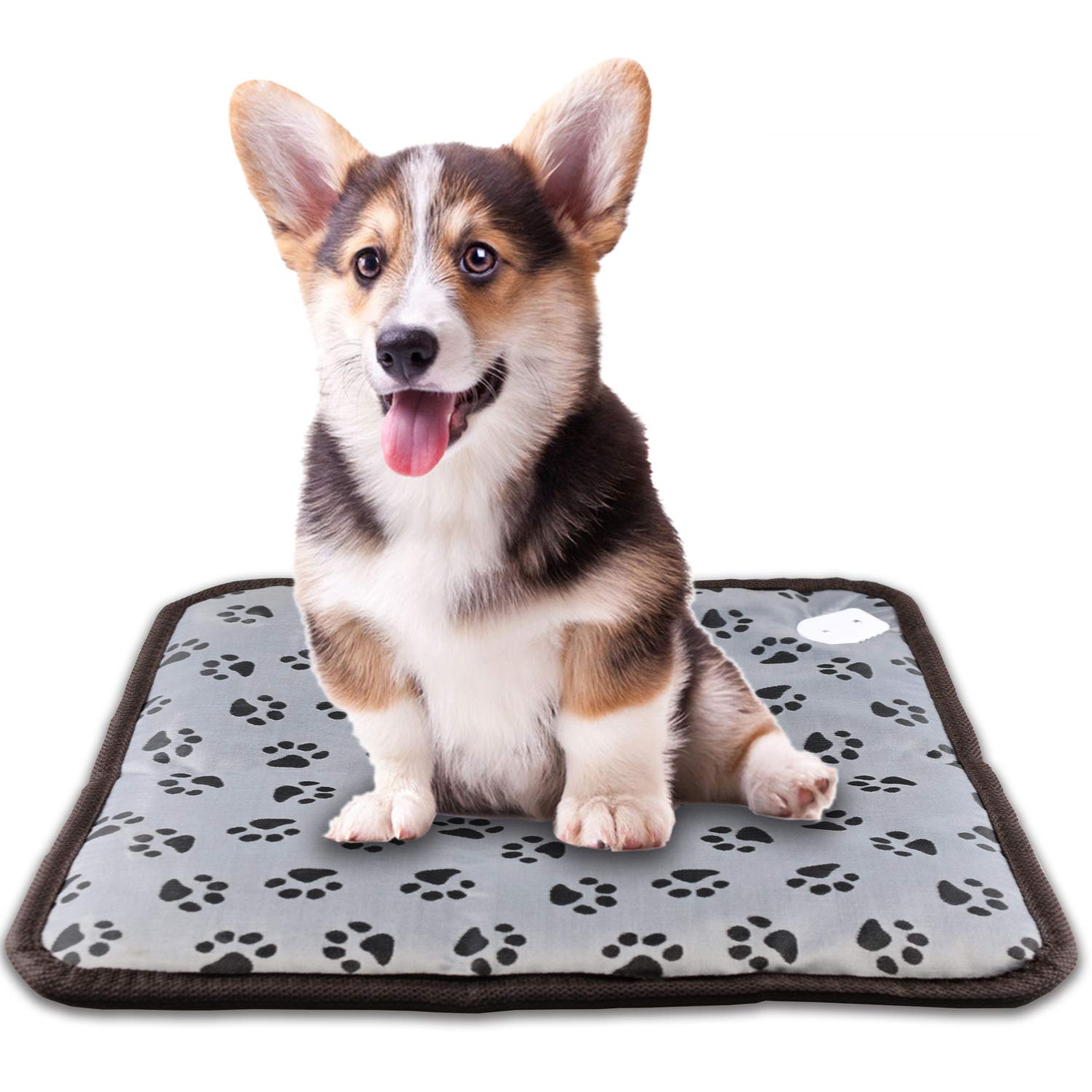 Which Is The Best Battery Heating Pad Cat