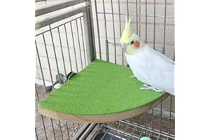 KINTOR Bird Perch Stand Birdcage Platform for Small Medium Parrot Rat Small Animal (7inch, Green)