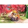 Product Photo 5