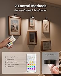 EZVALO Picture Lights for Wall with Charging