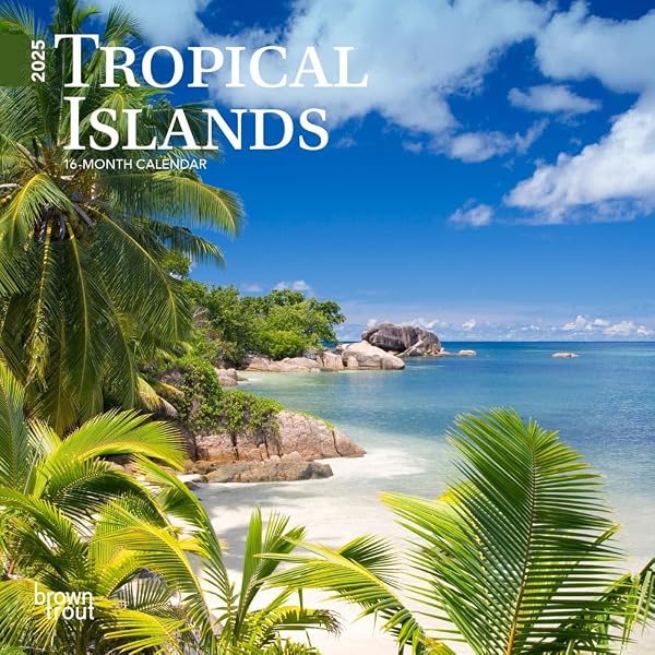 トロピカルアイランド Tropical  未開封 限定フォルダー Tropical Islands | 2026 7 x 14 Inch (Hanging) Monthly Mini Wall
