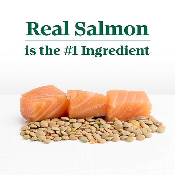 NUTRO LIMITED INGREDIENT DIET DRY DOG FOOD, ADULT DOG FOOD DRY SALMON & LENTILS RECIPE, 4 LBS.