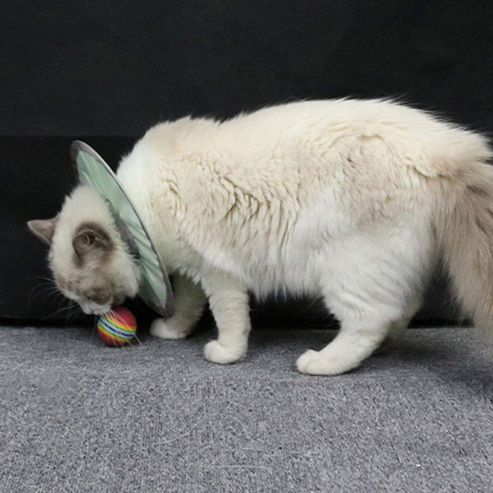 SALUTUYA Cat Elizabeth Circle Waterproof,Anti-biteProtective Elizabeth Collar for Your Lovely Cat 3 Sizes(M)