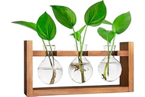 IVOLADOR I Propagation Station, Plants Terrarium, Plants Lover Gifts for Women,Plant Cutting Holder Home décor,Gifts for Women,House Warming New Home-3 Bulbs-Easy