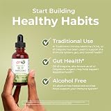 MaryRuth Organics Oil of Oregano Drops 34mg per 5 drops 30ml Vegan view 5