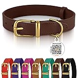 BRONZEDOG Leather Dog Collar with Metal Buckle