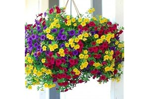 VAACNEE Hanging Petunia Seeds Mixed Color Bright Flowers Perennial 300 Seeds