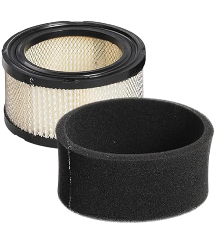 Amazon.com: MOWFILL 2 Pack 231847 Air Filter With Pre Filter